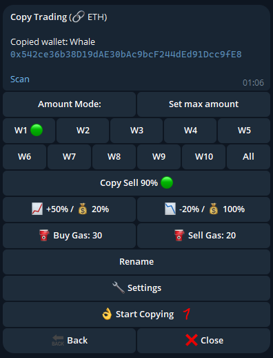 copy-trading setting sigma