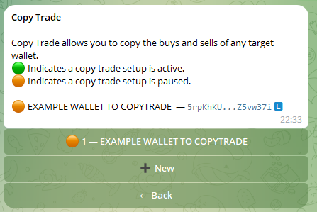 Copy trading interface